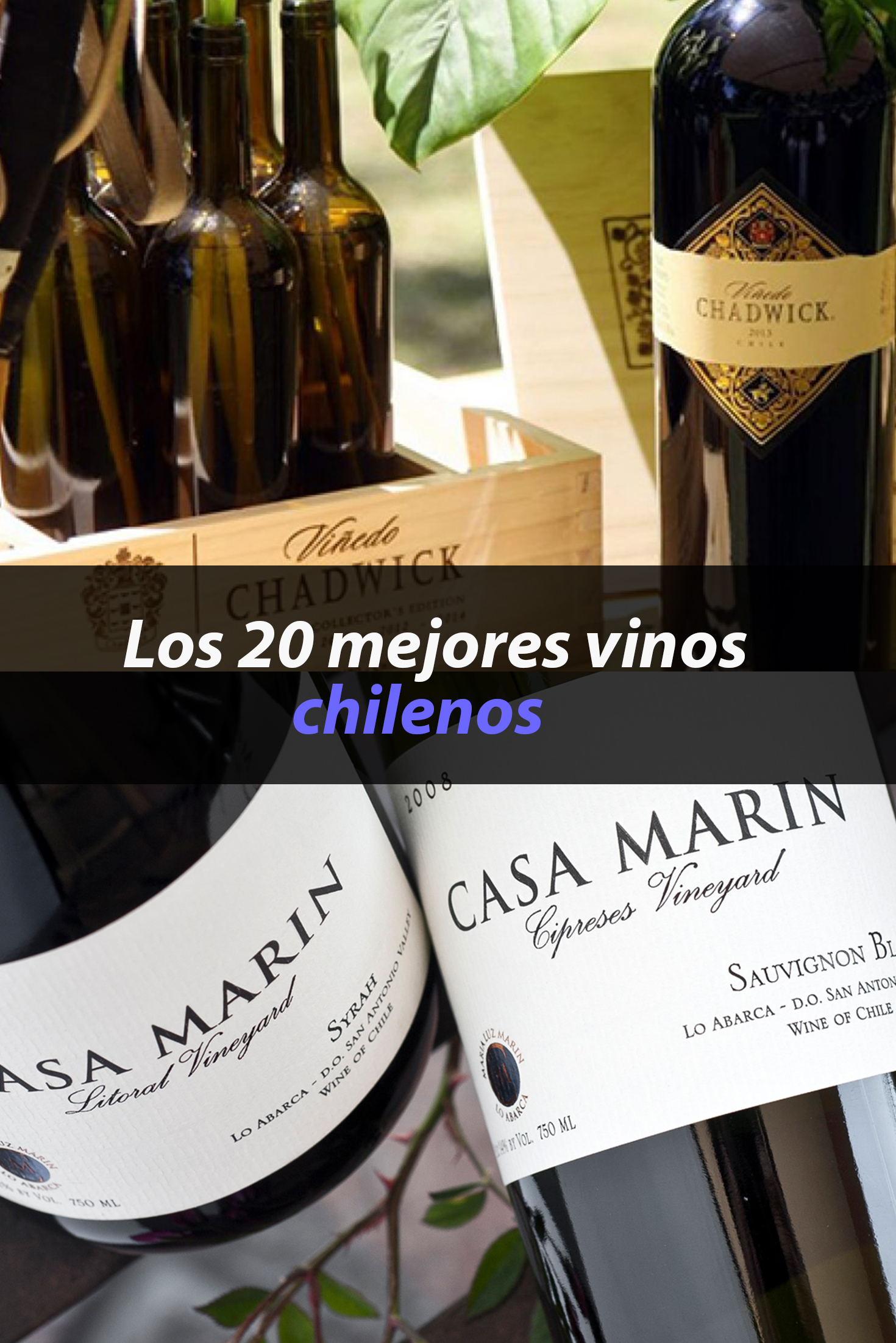 Compra rápida y segura en WinChile.com